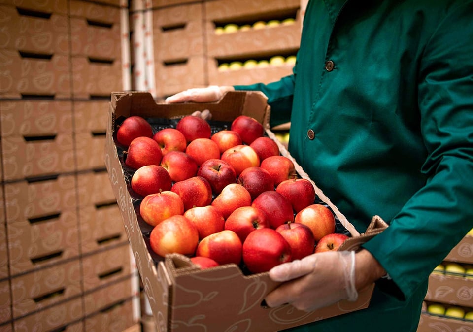 Logistica-productos-agricolas-todocartonsk_p