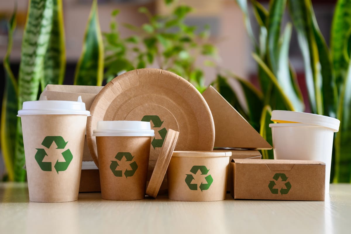 empaque-sostenible-reciclable-carton-papel-ecologico