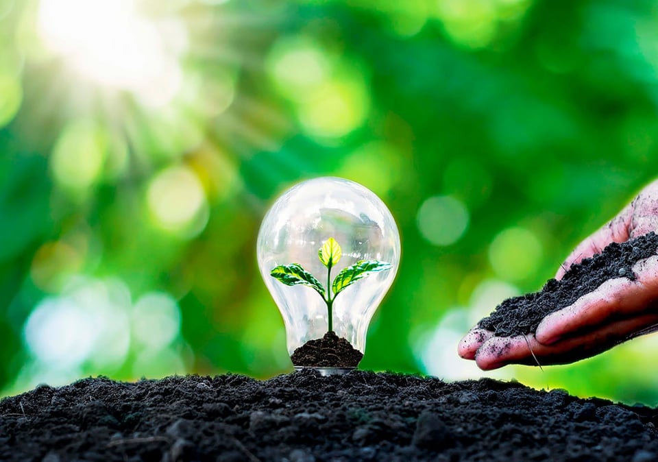 p_Energias-renovables-medio-ambiente-todocartonSK